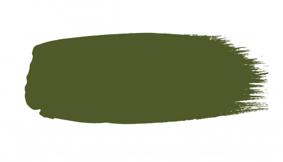 Little Greene Intelligent Matt Emulsion Paint Jewel Beetle 303 T 1lt